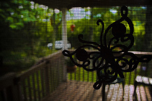 screen door overlooking a deck