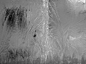 frozen window