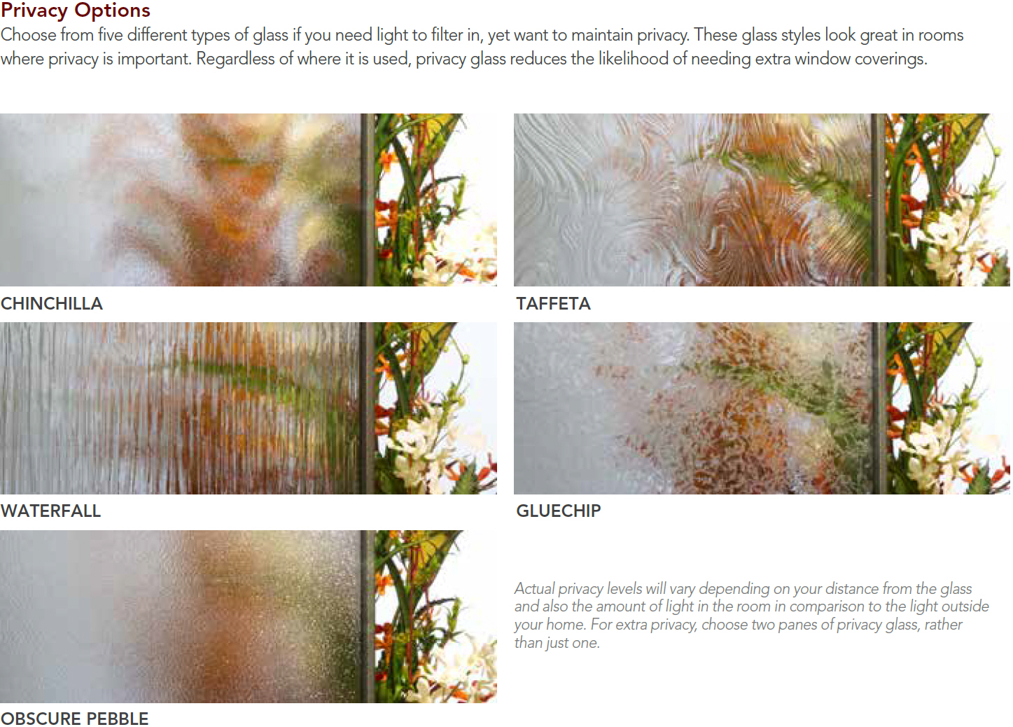 Privacy Glass Options - Aeris