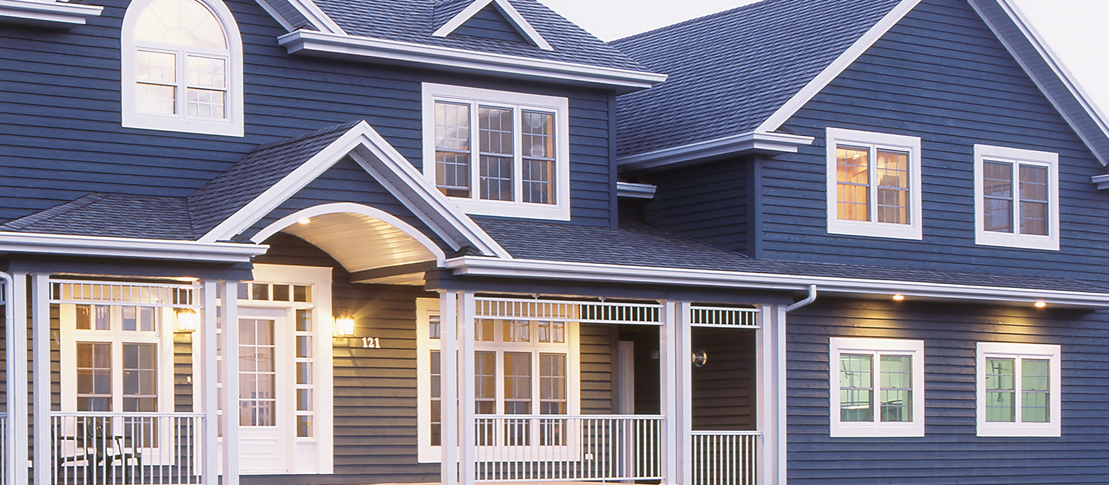 JW Premium Vinyl-blue house