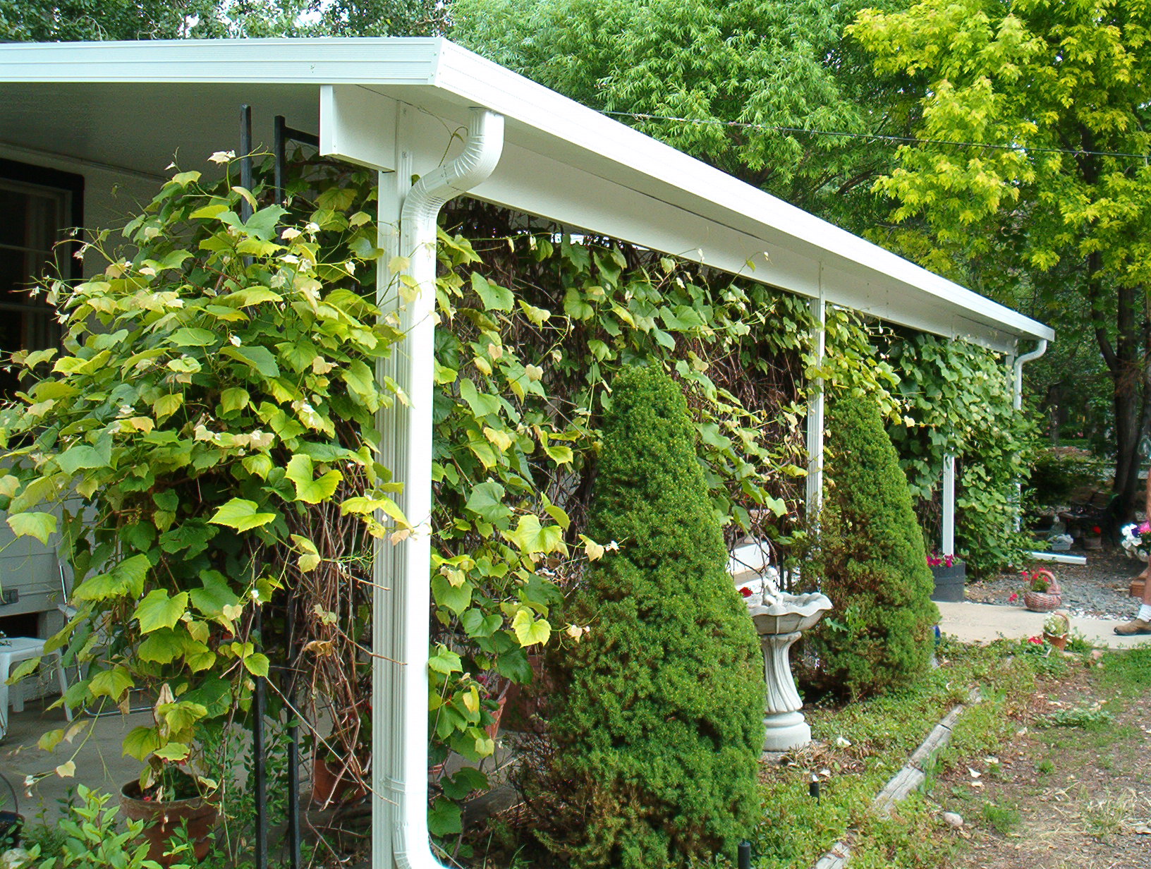 NWI 1000 PatioCover-plants 4 privacy